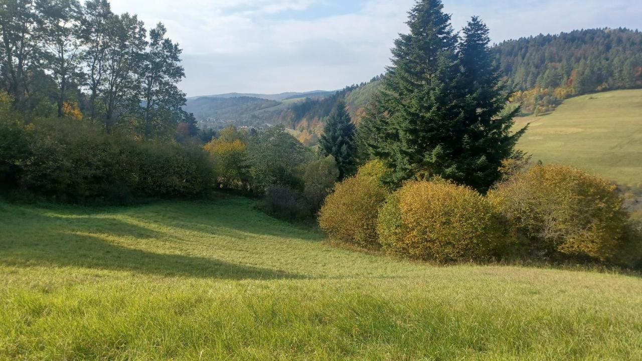 Hotel Lesny Dzban Komańcza Esterno foto