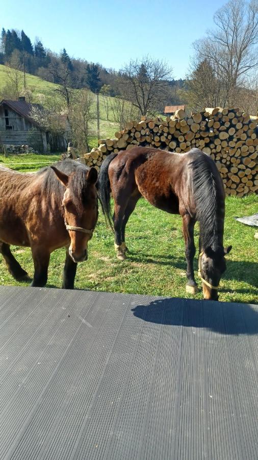 Hotel Lesny Dzban Komańcza Esterno foto