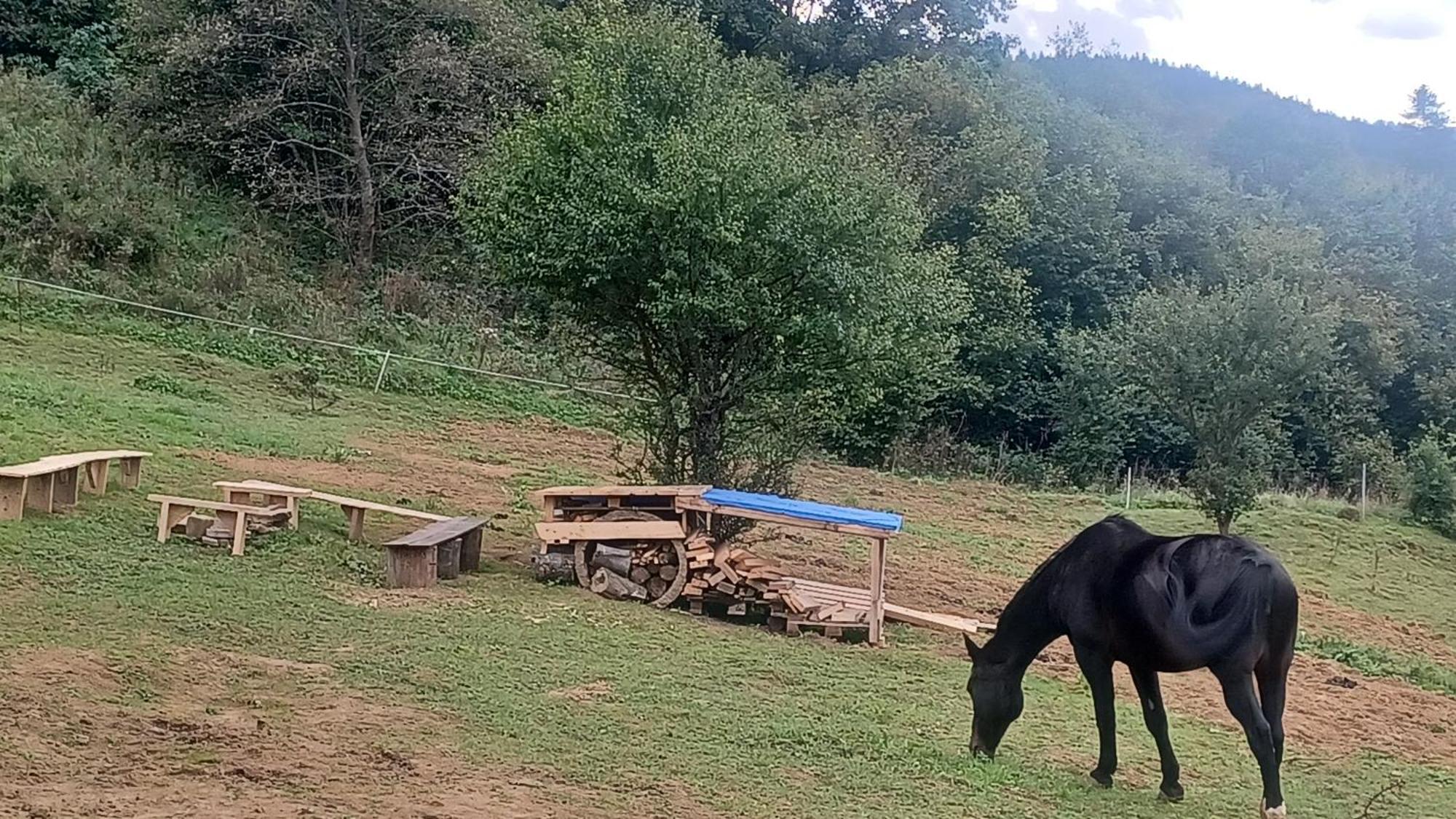 Hotel Lesny Dzban Komańcza Esterno foto